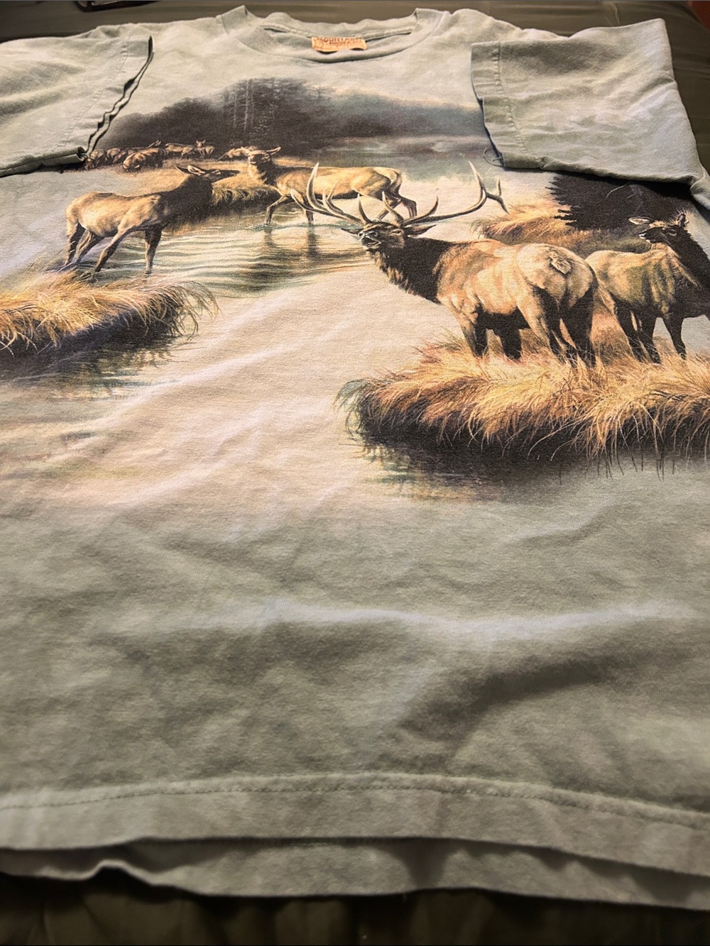 Vintage  mountain Wildlife Elk Graphic Tee in Sage Green